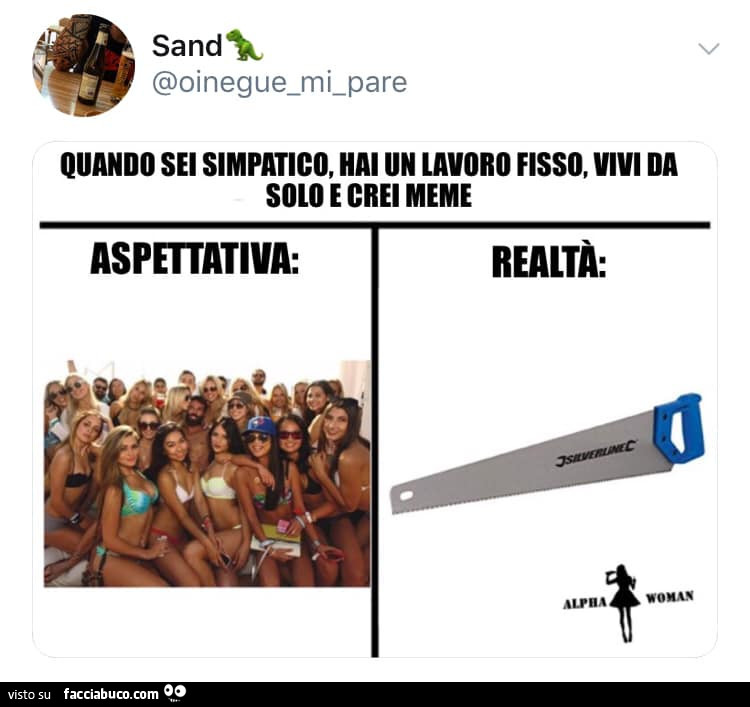 Quando sei simpatico, hai un lavoro fisso, vivi da solo e crei meme. Aspettativa. Realtà