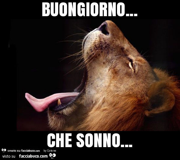 Buongiorno… che sonno