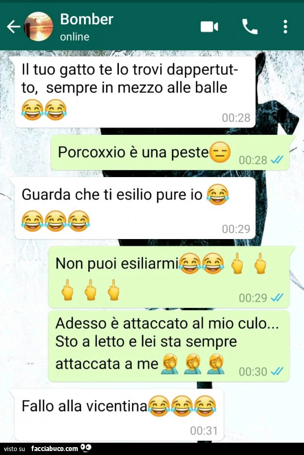 WhatsApp iris