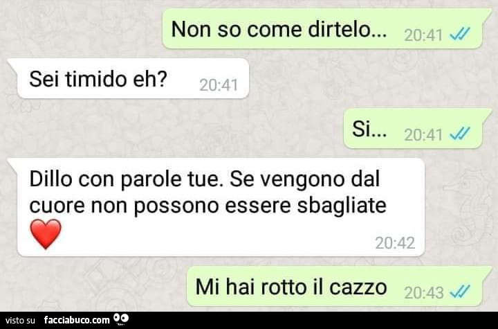 Non so come dirtelo… sei timido eh? Si… dillo con parole tue. Se vengono dal cuore non possono essere sbagliate. Mi hai rotto il cazzo