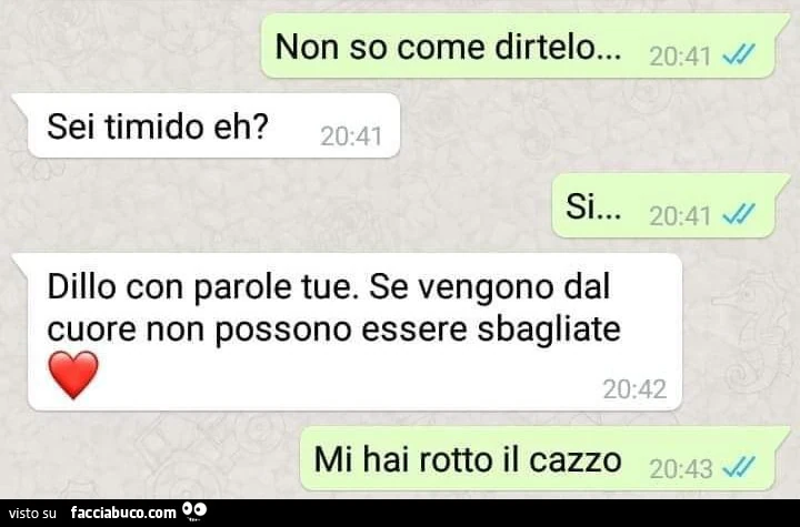 Non so come dirtelo&hellip; sei timido eh? Si&hellip; dillo con parole tue. Se vengono dal cuore non possono essere sbagliate. Mi hai rotto il cazzo