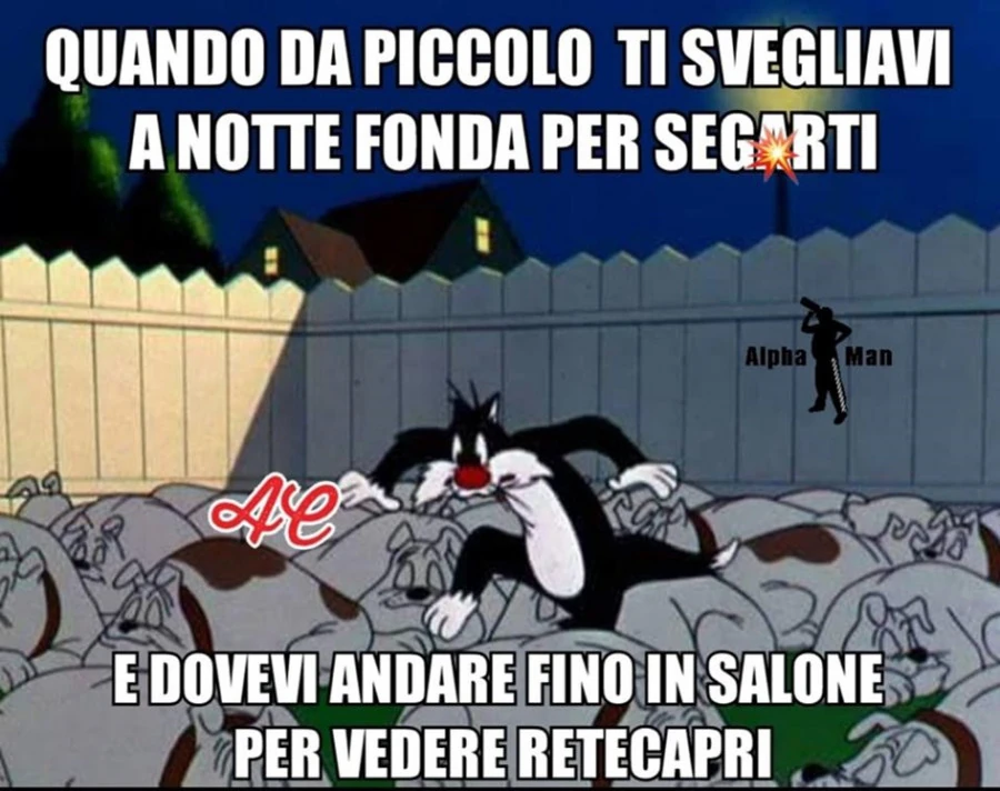 Vaccata