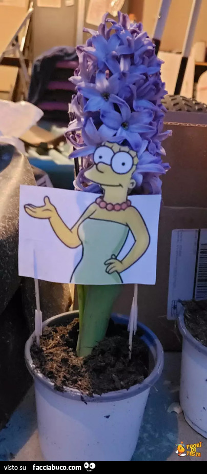 La pianta con Marge Simpson
