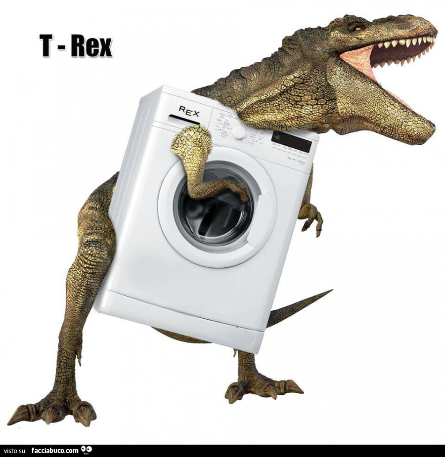 T-Rex lavatrice