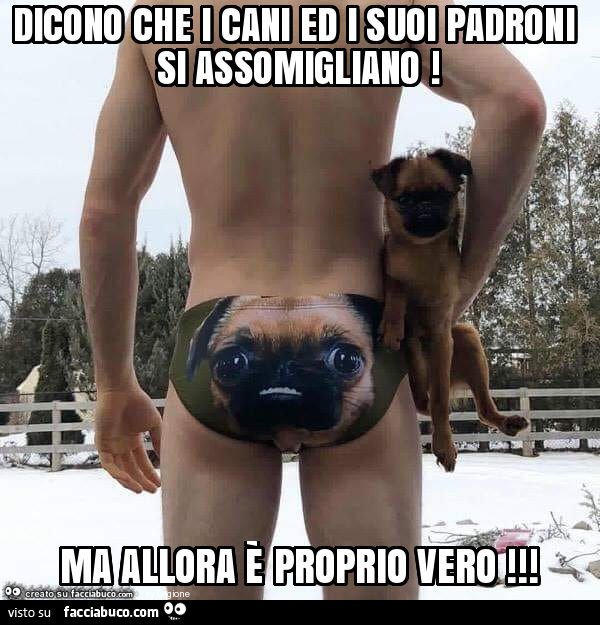 Dicono che i cani ed i suoi padroni si assomigliano! Ma allora è proprio  vero 