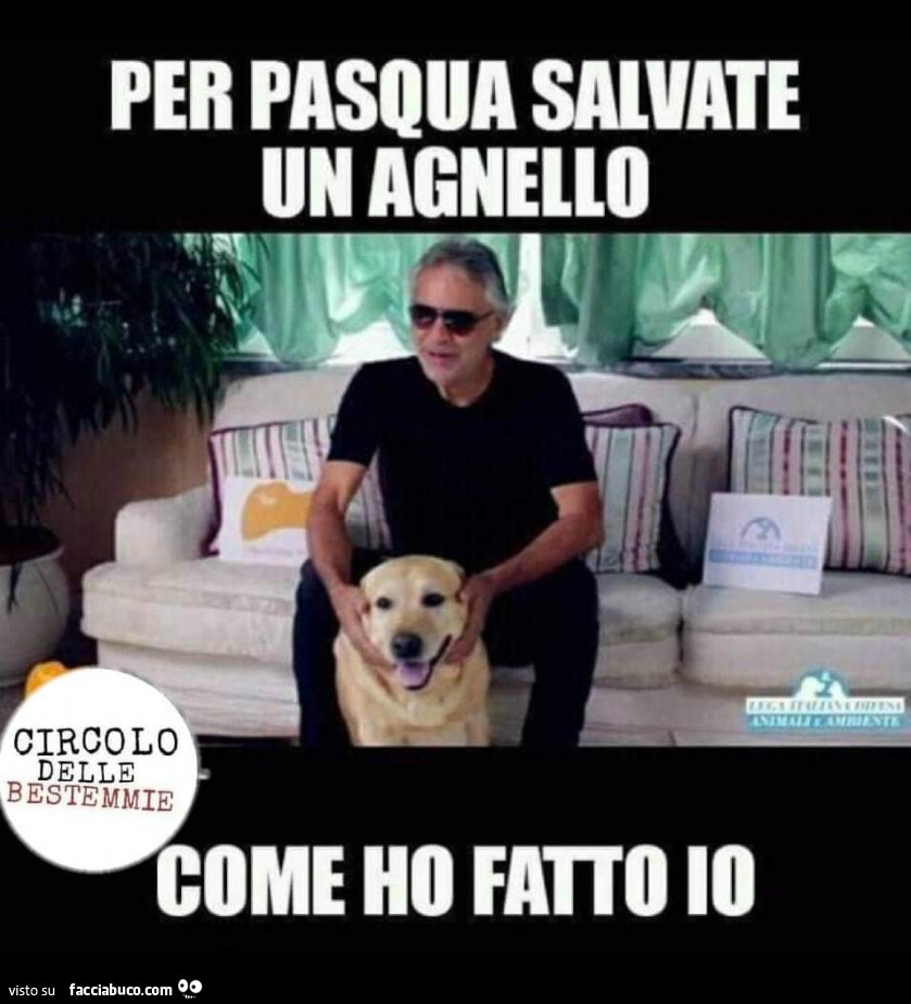 Per Pasqua salvate un agnello come ho fatto io
