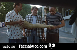 Vaccata