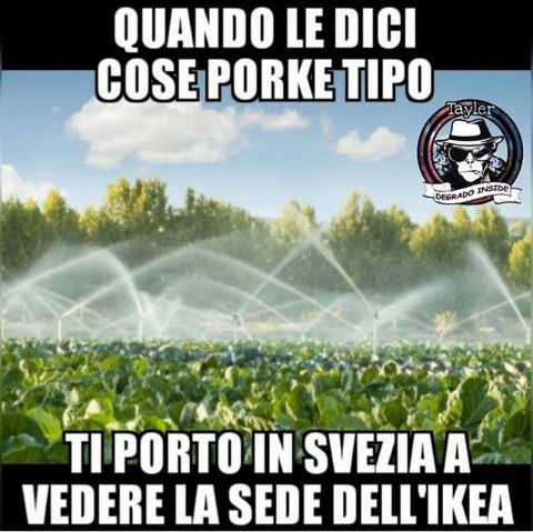 Quando le dici cose porke tipo ti porto in Svezia a vedere la sede dell ikea