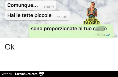 Comunque&hellip; hai le tette piccole. Sono proporzionate al tuo cazzo. Ok