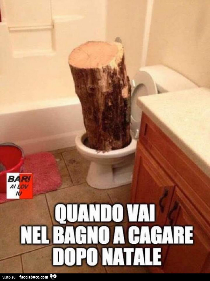 Quando vai nel bagno a cagare dopo natale