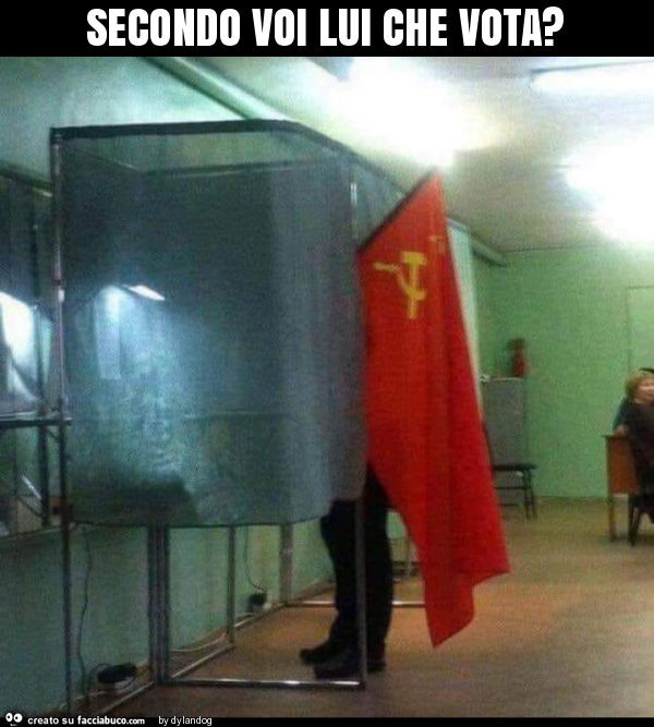 Secondo voi lui che vota?