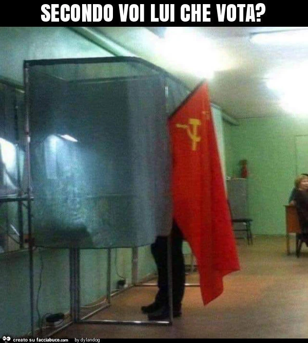 Secondo voi lui che vota?