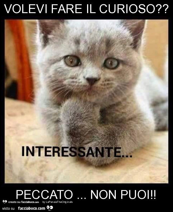 Volevi fare il curioso? Peccato&hellip; non puoi