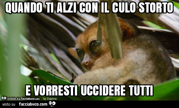 Quando ti alzi con il culo storto e vorresti uccidere tutti