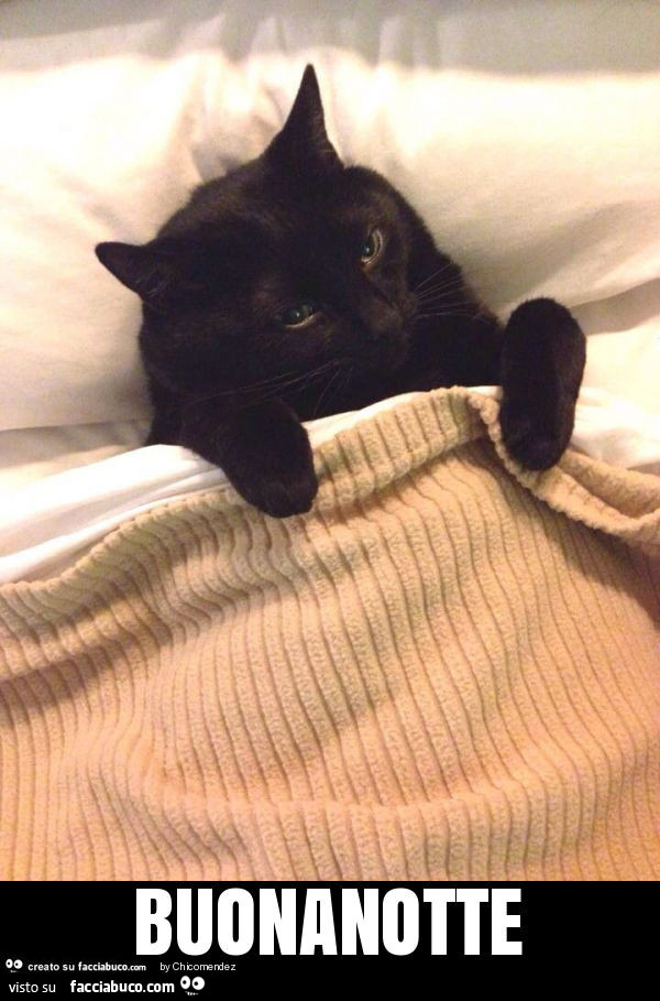 Buonanotte