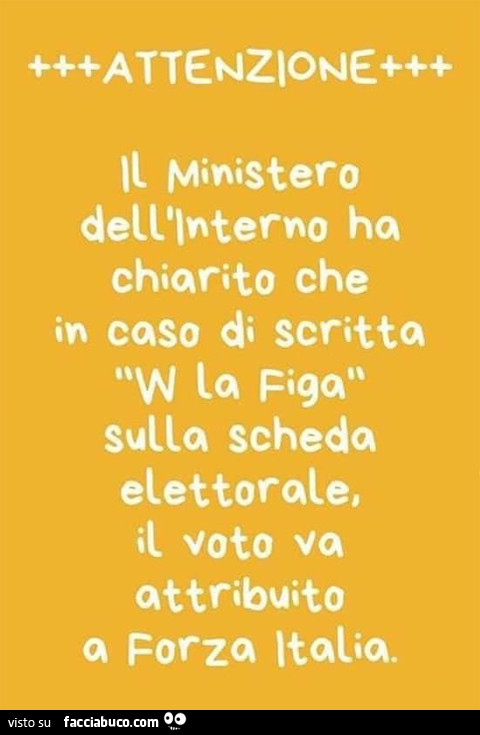 Attenzione, il ministero dell'interno ha chiarito che in caso di scritta w la figa sulla scheda elettorale. Il voto va attribuito a forza italia