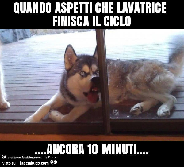 Quando aspetti che lavatrice finisca il ciclo… ancora 10 minuti