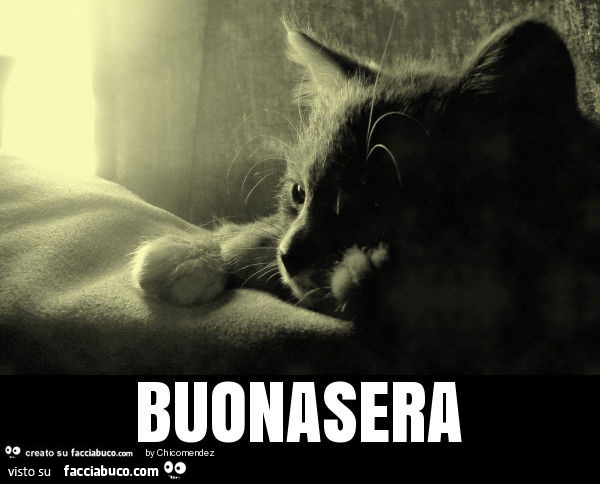 Buonasera
