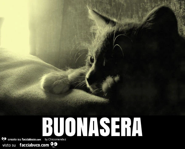 Buonasera
