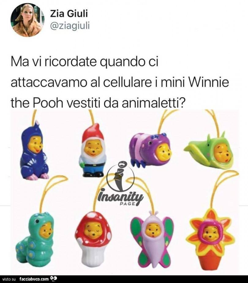 Ma vi ricordate quando ci attaccavamo al cellulare i mini winnie the pooh vestiti da animaletti?