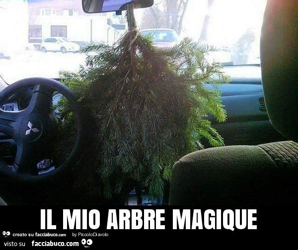 Il mio arbre magique