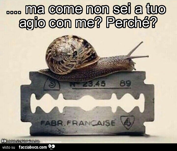 Ma come non sei a tuo agio con me? Perché?