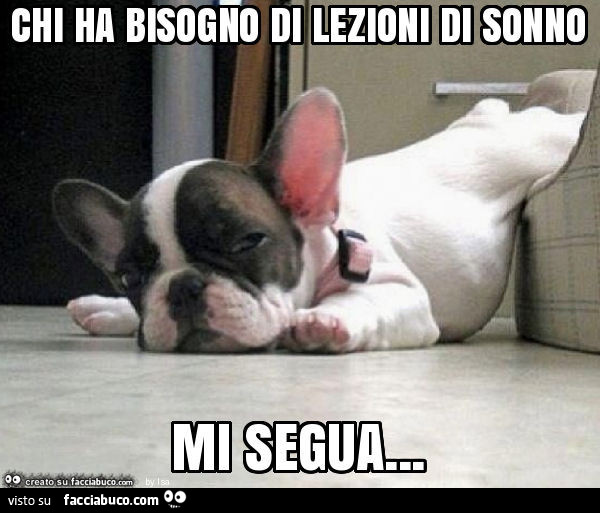 Chi ha bisogno di lezioni di sonno mi segua