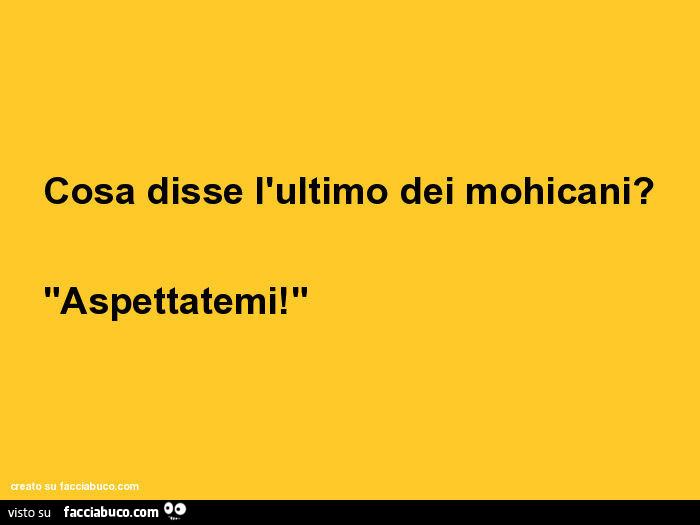 Cosa disse l'ultimo dei mohicani? Aspettatemi