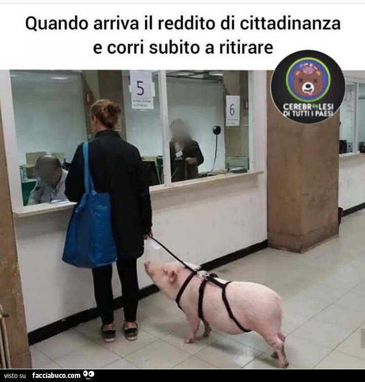Quando arriva il reddito di cittadinanza e corri subito a ritirare