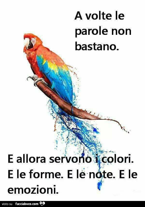 A volte le parole non bastano. E allora servo i colori. E le forme. E le note. E le emozioni