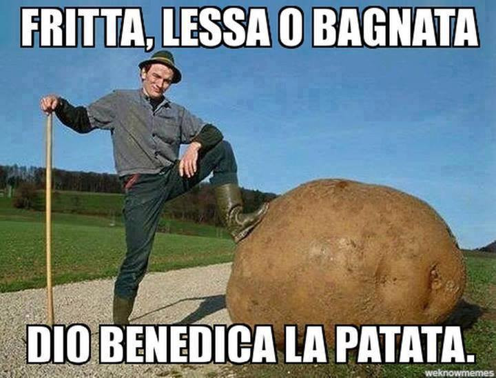 Vaccata