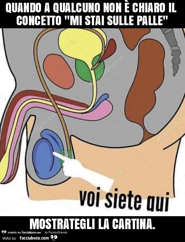 Quando a qualcuno non è chiaro il concetto "mi stai sulle palle" mostrategli la cartina