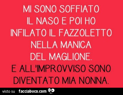 Mi sono soffiato il naso e poi ho infilato il fazzoletto nella manica del maglione e all'improvviso sono diventato mia nonna