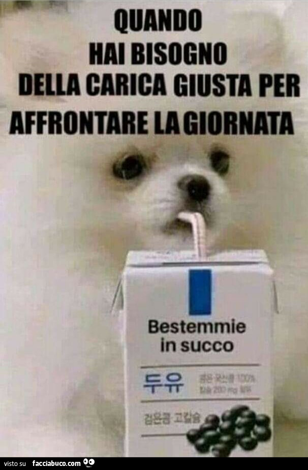 Vaccata