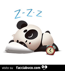 Panda che dorme. Zzz