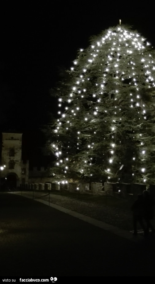 Castel Brando e l'albero di natale più grande d'italia