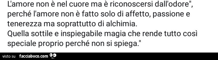 L'amore non è nel cuore ma è riconoscersi dall'odore, perché l'amore non è fatto solo di affetto, passione e tenerezza ma soprattutto di alchimia. Quella sottile e inspiegabile magia che rende tutto così speciale proprio perché non si spieg