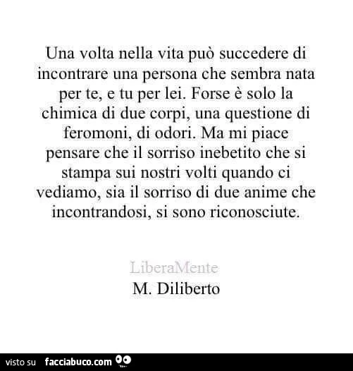 Una volta nella vita può succedere di incontrare una persona che sembra nata per te, e tu per lei. Forse è solo la chimica di due corpi, una questione di feromoni, di odori. Ma mi piace pensare che il sorriso inebetito che si stampa sui nostri volti