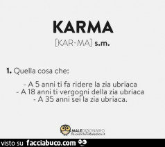 Vi Spiego Il Karma Se Tu Fai Del Male Lo Prendi Nel Sedere Se Fai Del Bene Anche Ma Con Karma Condiviso Da Peregrinehawk Facciabuco Com