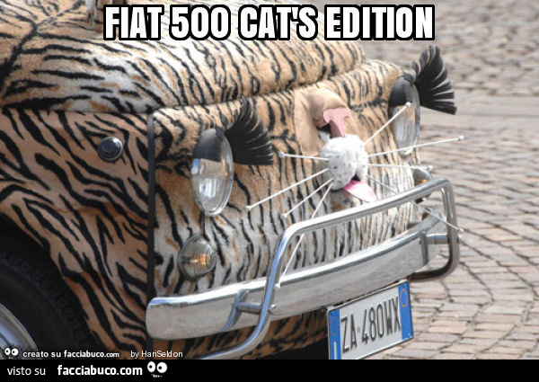 Fiat 500 cat's edition