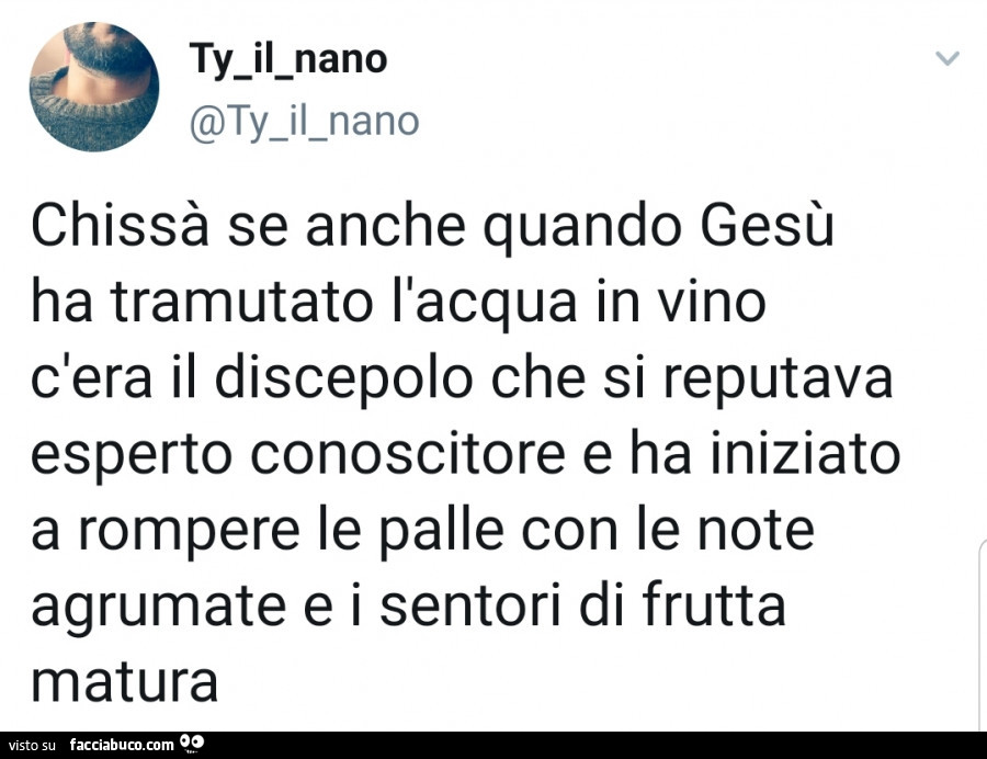 Chissà se anche quando gesù ha tramutato l'acqua in vino c'era il discepolo che si reputava esperto conoscitore e ha iniziato a rompere le palle con le note agrumate e i sentori di frutta matura