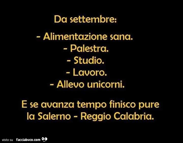 Da settembre alimentazione sana. Palestra. Studio. Lavoro. Allevo unicorni. E se avanza tempo finisco pure la salerno reggio calabria