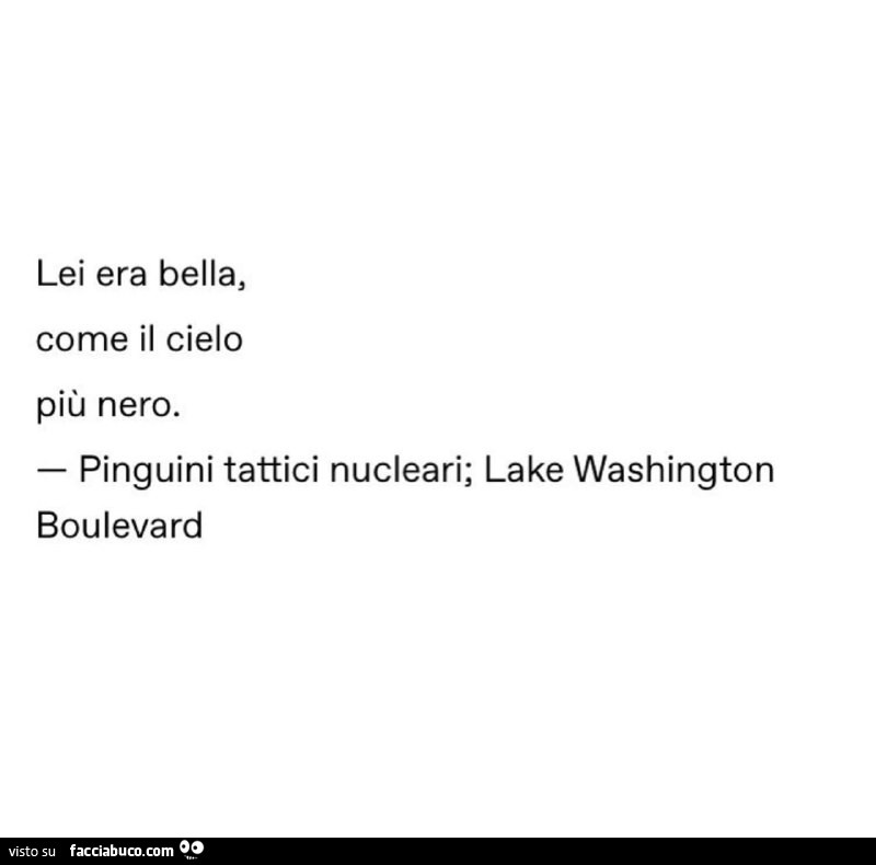 Lei era bella, come il cielo più nero. Pinguini tattici nucleari; lake washington boulevard