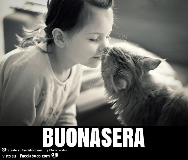 Bimba naso contro naso col gatto. Buonasera