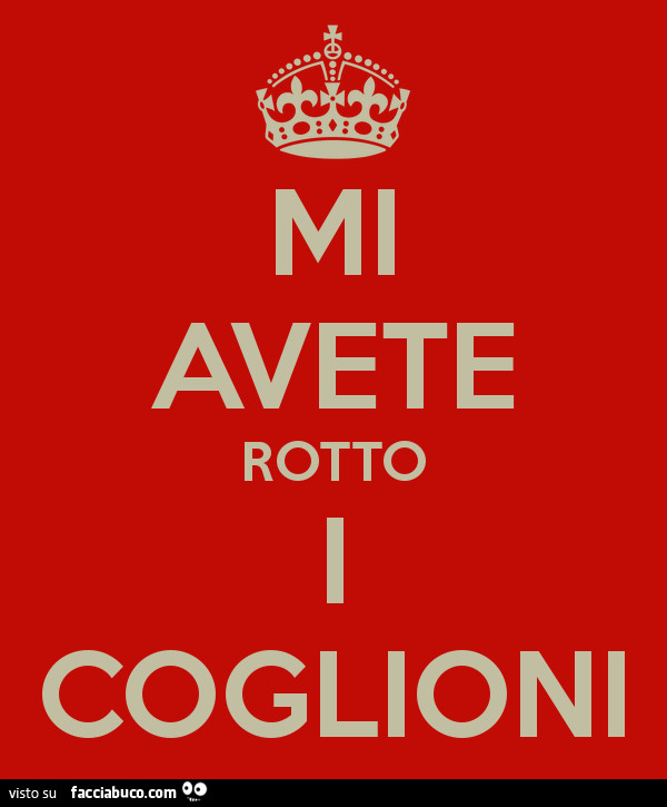 Mi avete rotto i coglioni