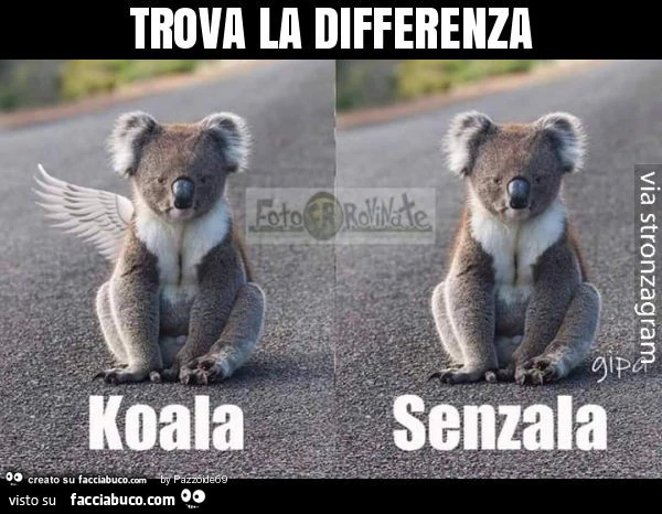 Trova la differenza