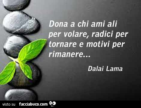 Dona a chi ami ali per volare, radici per tornare e motivi per rimanere… dalai lama