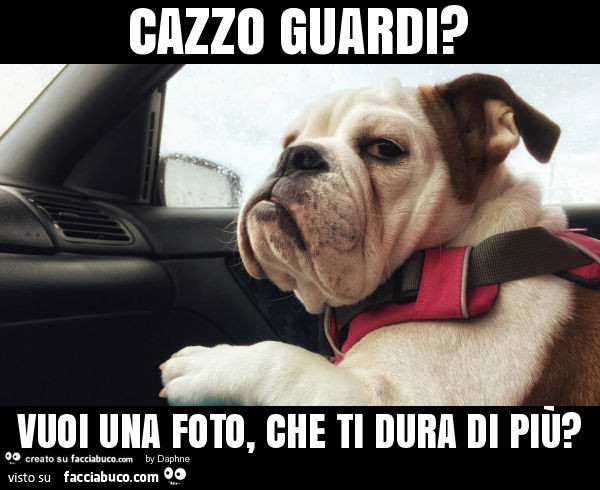 Cazzo guardi? Vuoi una foto, che ti dura di più?