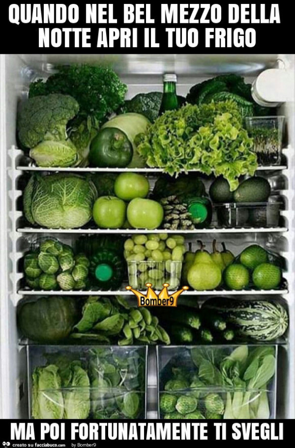 Quando nel bel mezzo della notte apri il tuo frigo ma poi fortunatamente ti svegli