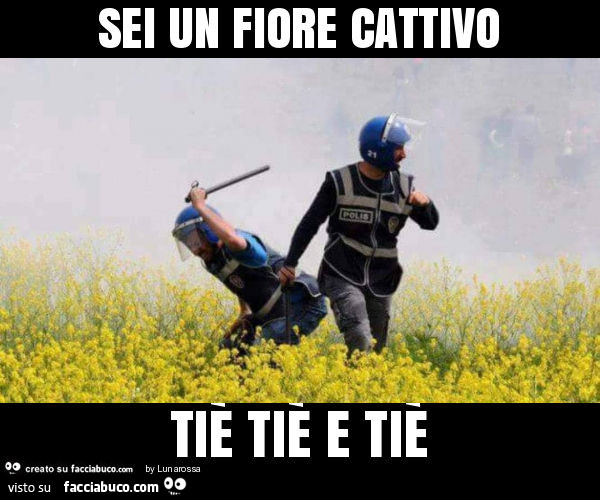 Sei un fiore cattivo tiè tiè e tiè